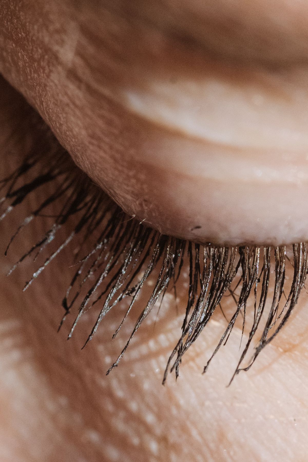 Macro photograph of eyelashes along a closed eyelid